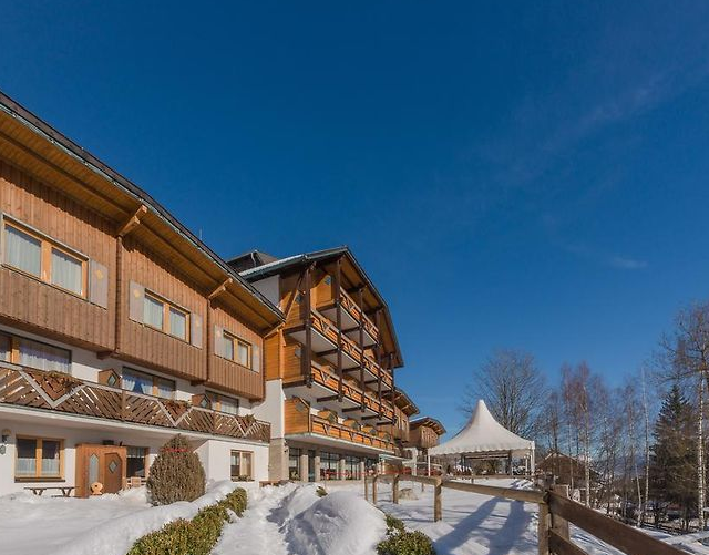 Appartementen Ferienalm Schladming