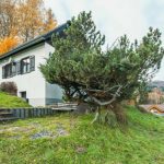 Ferienhaus Ahornweg
