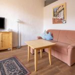 Homely Apartment