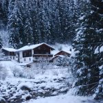 Backyard Mountain Hostel