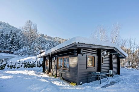 Chalets im Brixental II